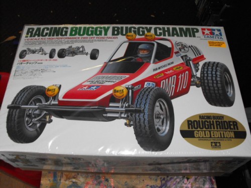 Buggy Champ 001.JPG