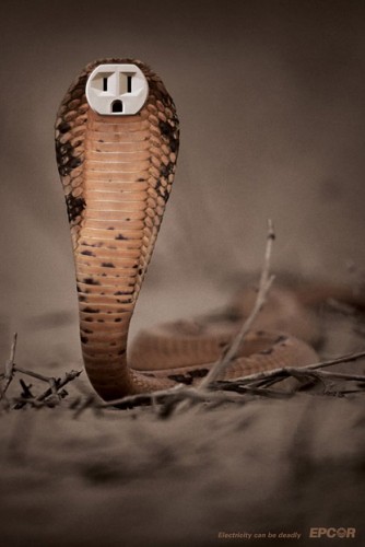 Electricity_Can_Be_Deadly_-_Cobra.jpg