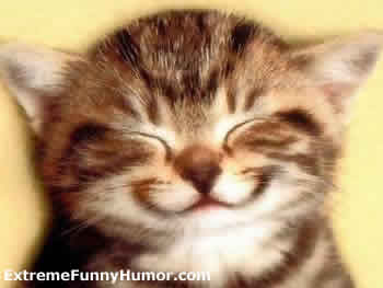 virtual smile.jpg