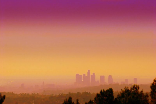 385412863_4cefb70481.jpg