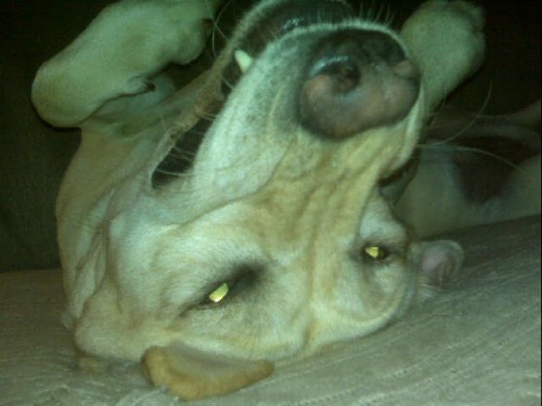 IMG00240.jpg