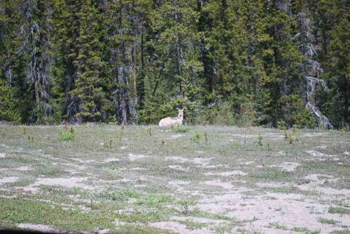 DSC_1168.JPG