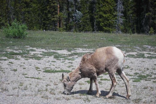 DSC_1169.JPG