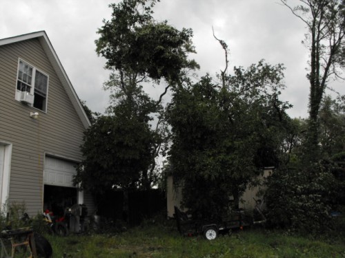 the front of my shop/ house