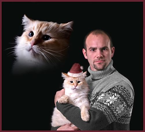 christmas sweater.jpg