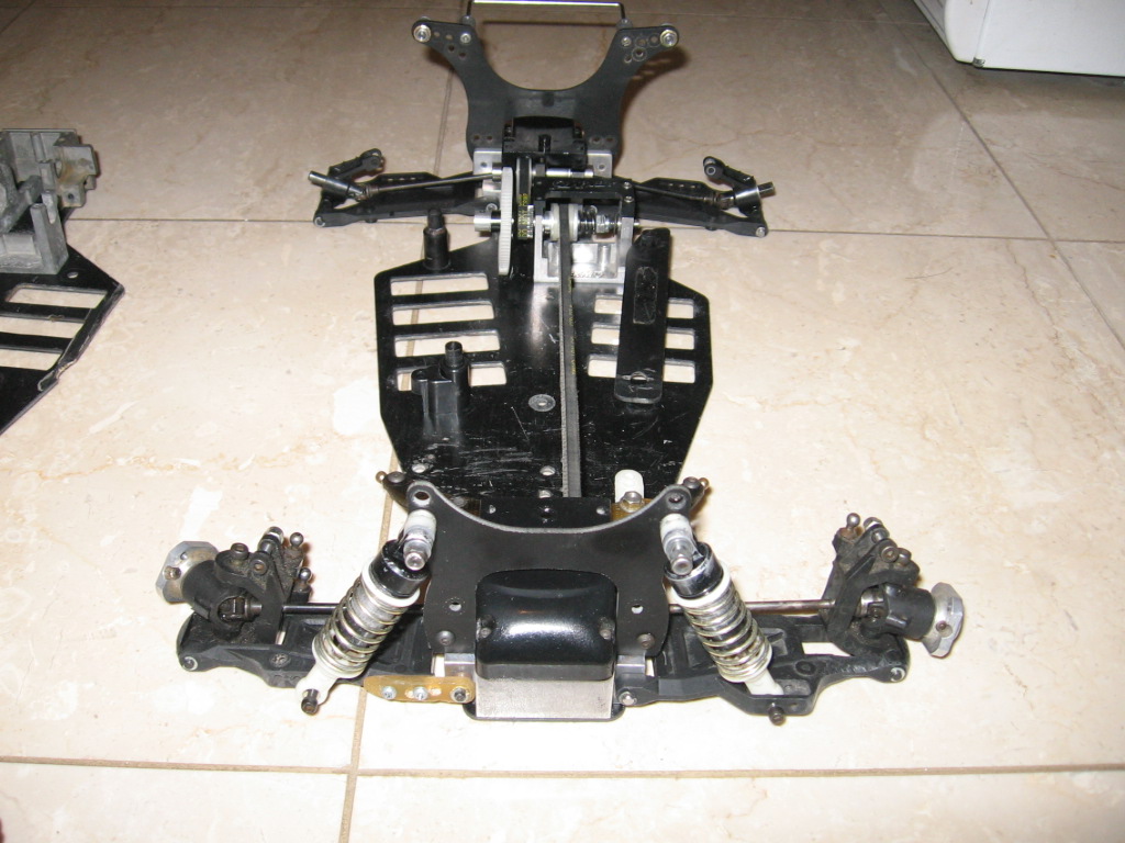corally 015.jpg