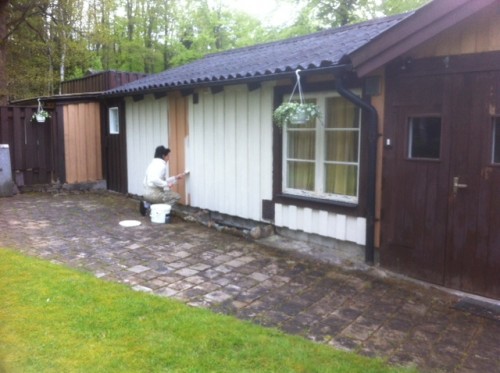 Gull Målar.jpg