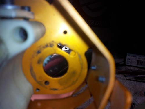 Donut Backside (Medium).jpg