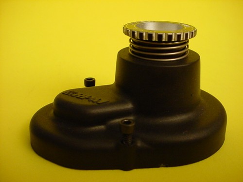 scabpicmiddle.jpg