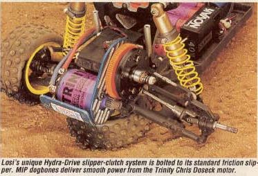 Reeds Losi.jpg