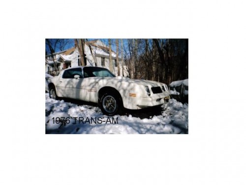 1976 trans am.jpg