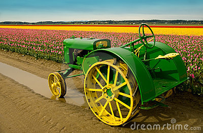 1177334087R51D6I.jpg
