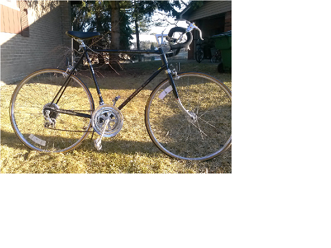 Schwinn 70 percent.png