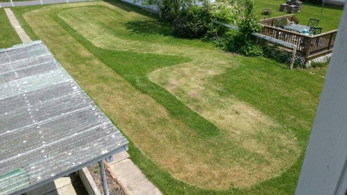 20130521_125912.jpg