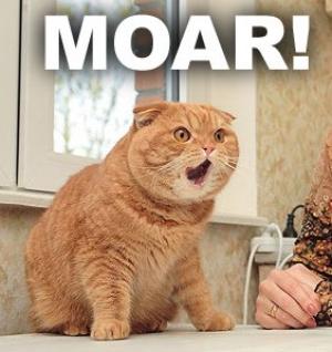 MOAR-kitty.jpg