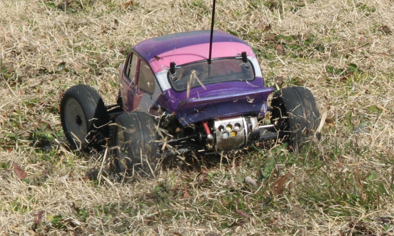 IMG_3565_cr.jpg