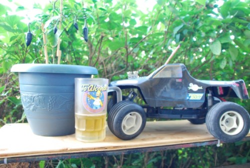 Beer Purp Jala Losi.JPG