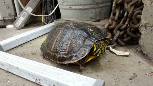 20130829_171452.jpg