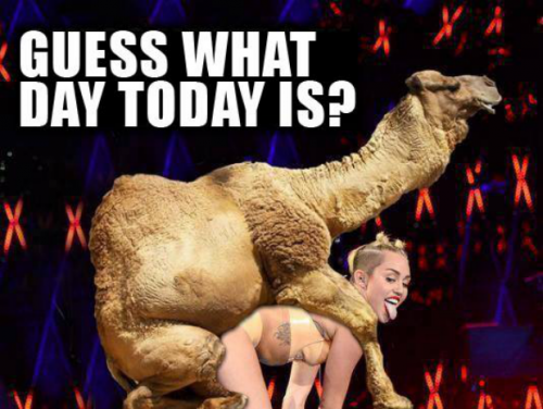 hump_day_miley_cyrus_camel.png