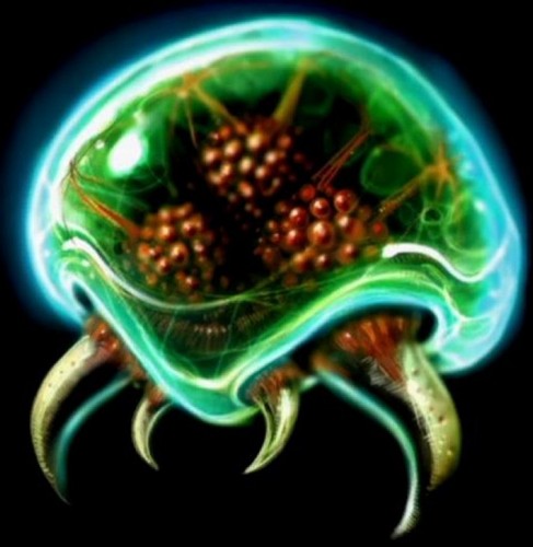 A-metroid.jpg