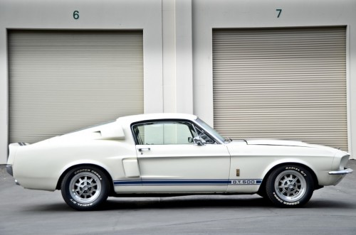 Shelby-GT500-1-1024x678.jpg