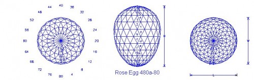 Rose.JPG