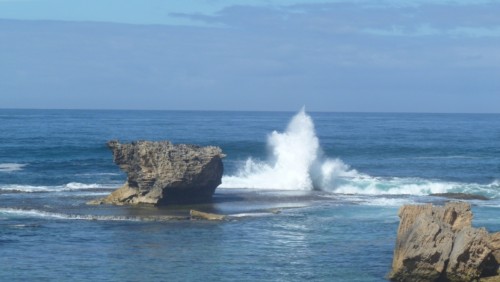 Ocean2.JPG