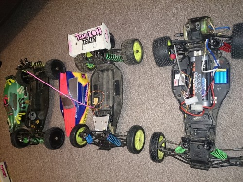 losi family.jpg