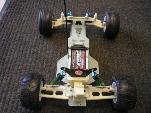 atrax9 (7).JPG