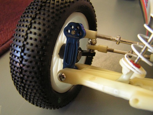 atrax9 (2).JPG