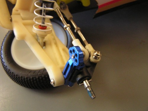 atrax9 (5).JPG