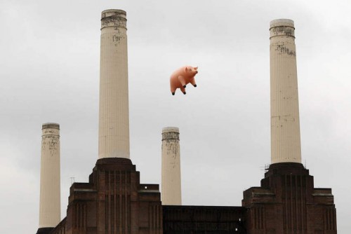 Pink-Floyds-Animals-album-digitally-remastered.jpg