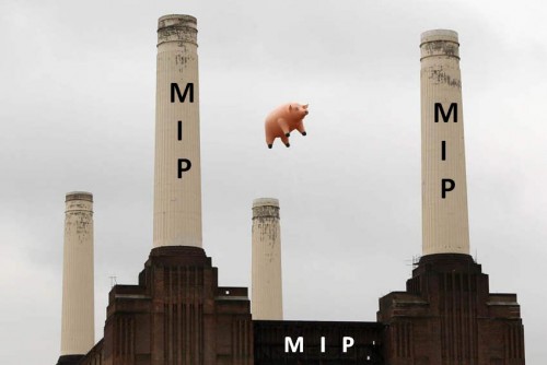 Piggy.jpg